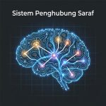 Sistem Penghubung Saraf